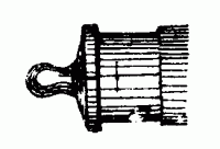 Винград обыкновенный.