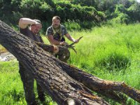 Заготовка дров.