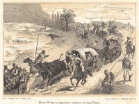 Паника 18 июня в транспорте раненных под Плевною.