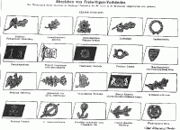 Знаки Добровольческих частей