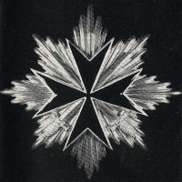 Нагрудная Звезда с мечами учрежденного фон Рандовым "Тевтонского Рыцарского Креста".