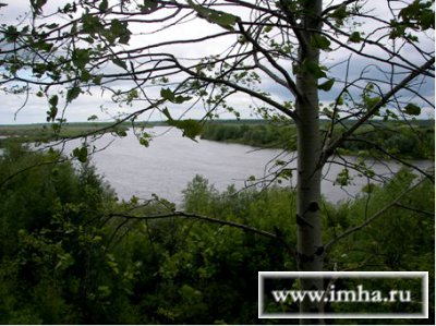 Ромашкин Яр