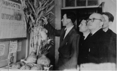 Шиловская районная с/х выставка.