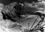 Уборка сена в Шиловском районе, 1963 г.