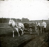 Гроховский полк. Лагеоные сборы. Перевозка дерна