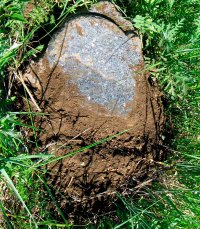 День Троицы. 2011 г. Остатки от гранитного надгробия бригадира Василия Петровича Лачинова.