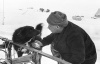 Начальник дрейфующей станции "Северный полюс -1" Иван Папанин и пес по кличке Веселый. 1938 год