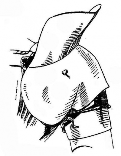 Рис. 10. Накладное усиление левого наплечника с высоким гребнем. От доспеха Рупрехта Пфальцского (ум. 1504). Немецкая работа, ок. 1502 г.