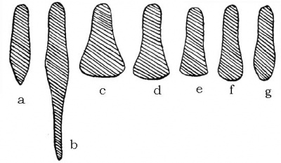 Рис. 8. Формы железных башмаков. а) 1290—1390. b) 1300—1490. с) 1500—1530. d) 1530—1540. е) 1540—1550. f) 1550—1560. g) 1560—1590.