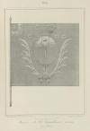Знамя Лейб-Гвардии Семеновского полка. 1701 г.