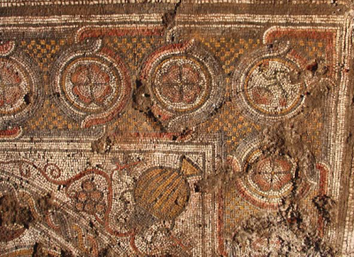 Раскоп 2/B. Большая мозаика. Заполнение северо-восточного угла: вазон-амфора с плодоносящей виноградной лозой. В процессе расчистки.