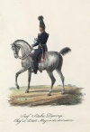 Начальник штаба дивизии польских войск. 1829 г.