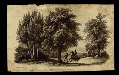 Пейзаж с разбойником. Химли, Сигизмон. 1801-1872. Западная Европа, XIX в. Бумага, литография, 12,3х19,5 см. ГЭ