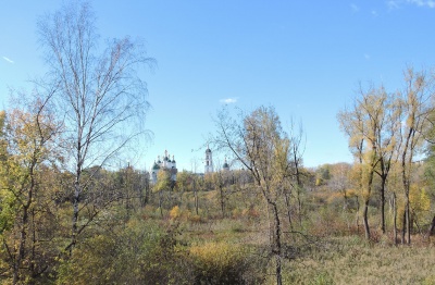 Вид на Саровский монастырь с правого берега р. Сатис