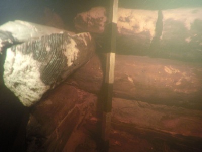 Ряж (городня). Подводная фотографии экспедиции 2018 года.