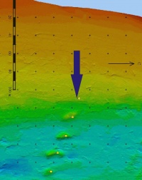 Снимки дна Волхова, полученные с помощью многолучевого эхолота - мультибима.