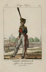 Гренадерский офицер Императорской гвардии в полной форме.
