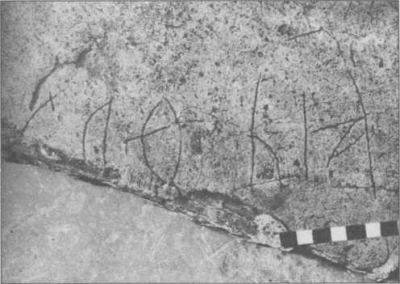 Надпись-граффито на крышке саркофага великой княгини Софьи Фоминичны Палеолог