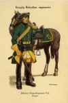 Kungliga Bohusläns regemente. Драгун Бохусленского драгунского полка. 1732 г.